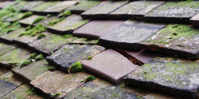 Bluntisham roof repair costs